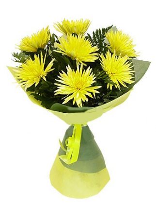 Желтые одноголовые хризантемы - купить с доставкой в по Волгограду