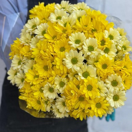 желтая кустовая хризантема - купить с доставкой в по Волгограду